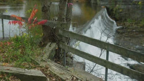 The Falling World Bild 2