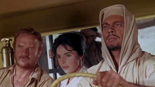 Flucht aus Zahrain Bild 7