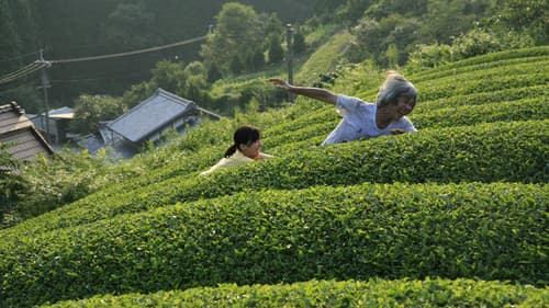 Der Trauerwald Bild 3