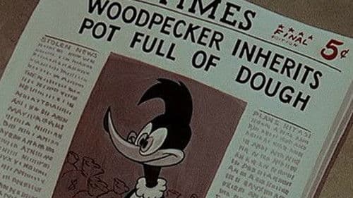 The Woody Woodpecker and Friends Classic Cartoon Collection: Volume 2 Bild 1
