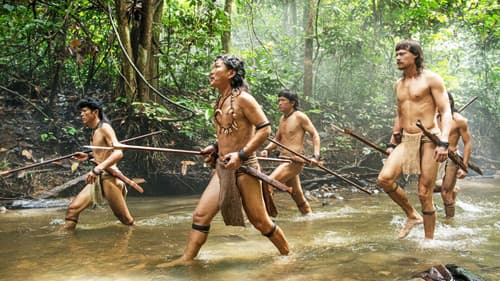 Die Stimme des Regenwaldes Bild 6