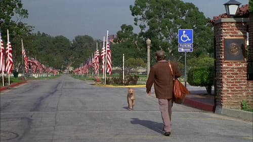 Das Geheimnis der drei Wünsche Bild 6