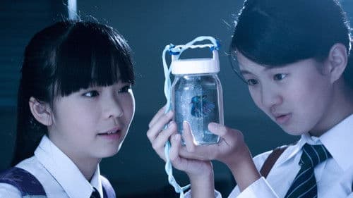 星星的孩子 Bild 1