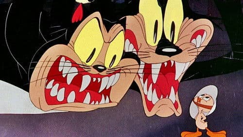 Die Geschichte zweier Katzen Bild 1