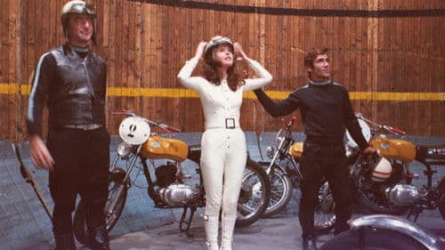 Das lüsterne Quartett Bild 6