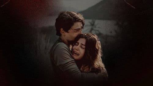 Dias Perfeitos Bild 5