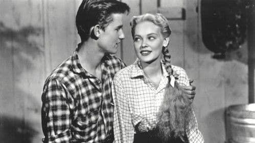 Black Midnight Bild 1