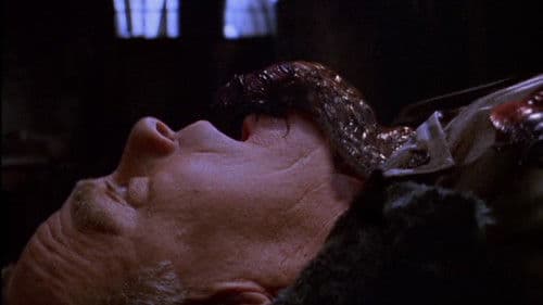 They Nest - Tödliche Brut Bild 3