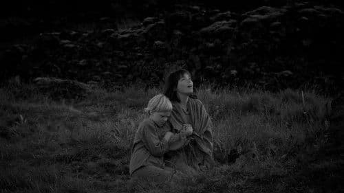 Der Wacholderbaum Bild 4