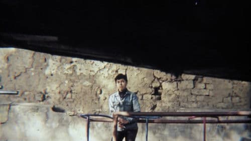 Где твой дом, улитка? Bild 4