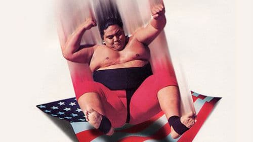 WWE SummerSlam 1993 Bild 2