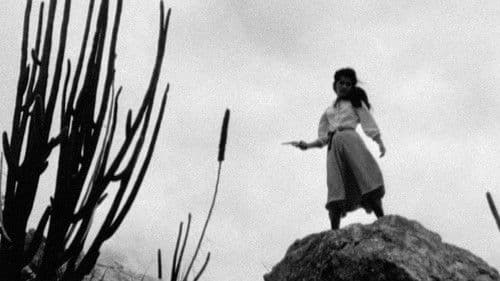 Mandacaru Vermelho Bild 1