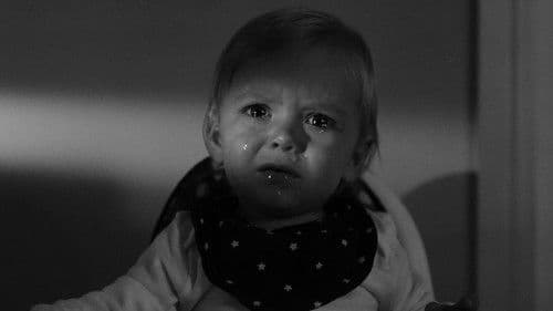 Bunny Jake Is Missing Bild 1