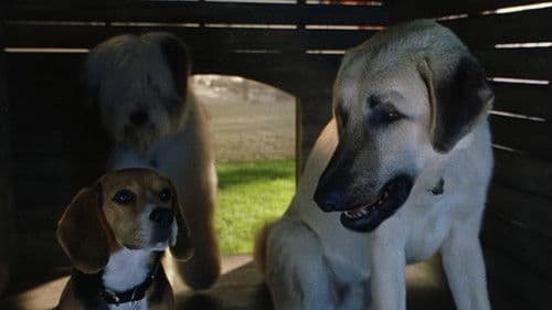 Cats & Dogs - Wie Hund und Katz Bild 6