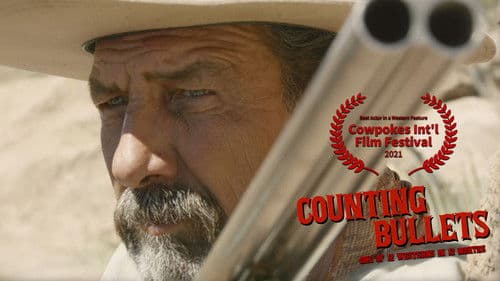 Counting Bullets Bild 1