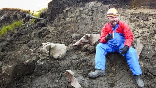 Mammoth Unearthed Bild 4