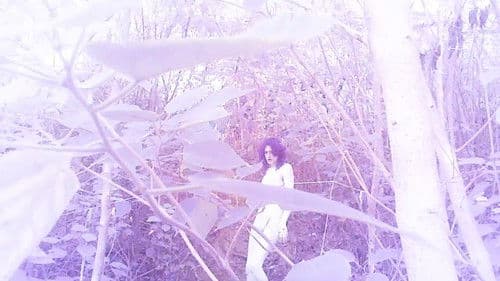 Tarotxorcismo Bild 1