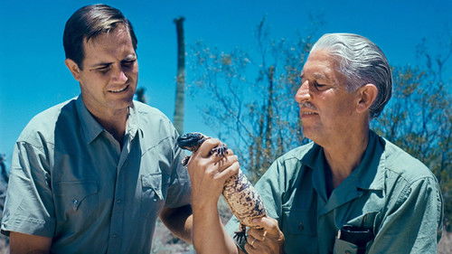 Im Reich der wilden Tiere Bild 5