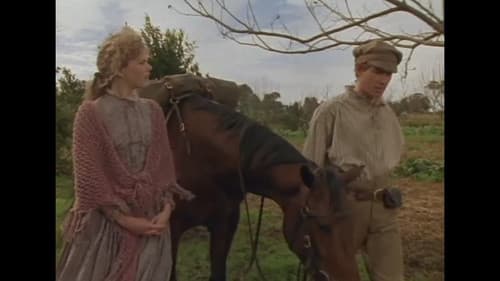 Archer - Die Abenteuer eines Rennpferdes Bild 1