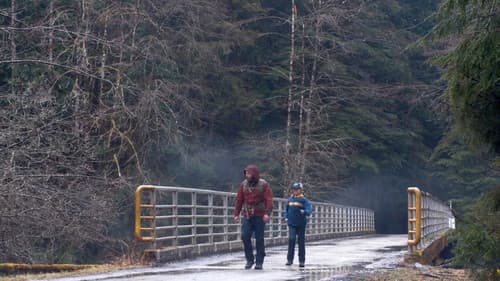 Light of My Life Bild 5