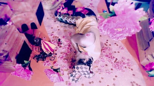 Singapore Minstrel Bild 4