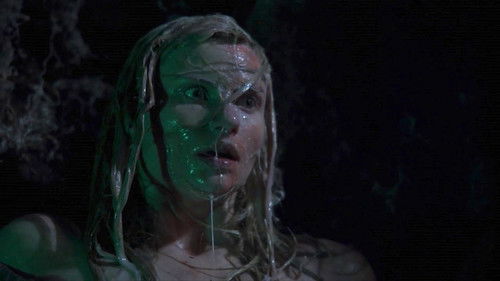 The Millennium Bug - Der Albtraum beginnt Bild 5