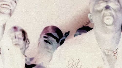 Selección Natural Bild 3