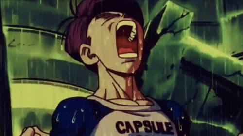 m e m o r y - m a c h i n e Bild 4