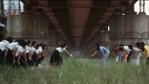 ずべ公番長 はまぐれ数え唄 Bild 4