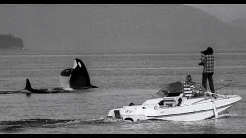 The Snake and the Whale Bild 5