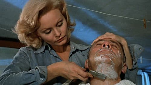 Dites-le avec des fleurs Bild 3