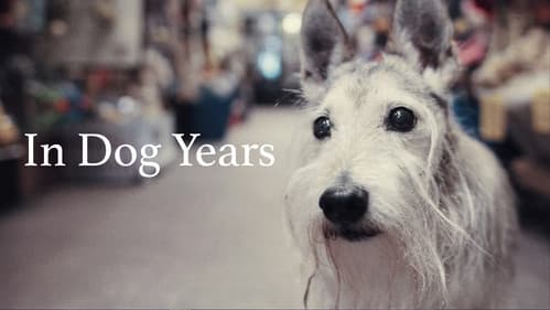 In Dog Years Bild 1