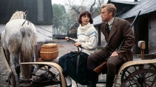 Die Mädchen von Wilko Bild 1