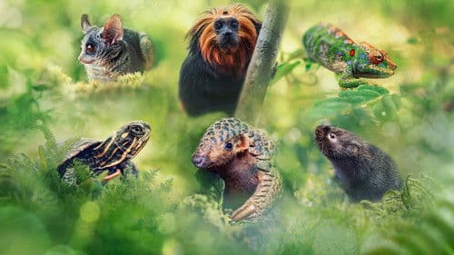 Big Little Journeys Bild 1