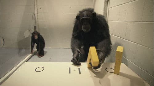 Endstation Fortschritt Bild 1