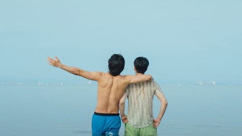 마이스윗디어 Bild 6