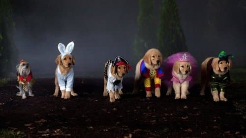 Spooky Buddies - Der Fluch des Hallowuff-Hunds Bild 1