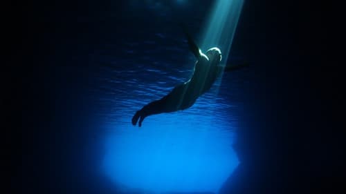 I leoni di Lissa Bild 1