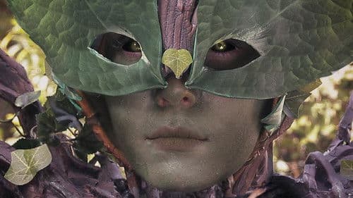 There's Something in the Woods Bild 1