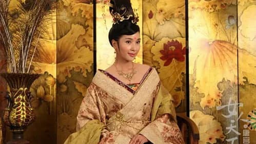唐宫燕 Bild 2
