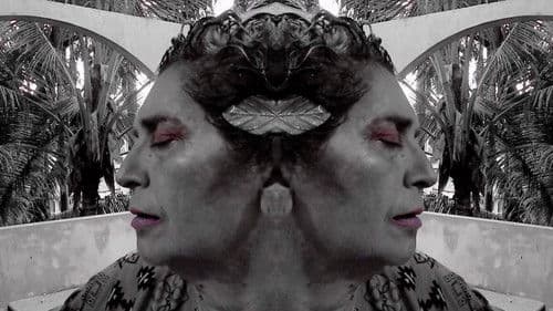 Simonettas Augen Bild 1