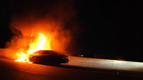 Sci-Fi Fantasy - Endless Beauty Bild 2