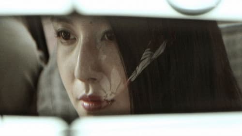 Maniac Driver Bild 4