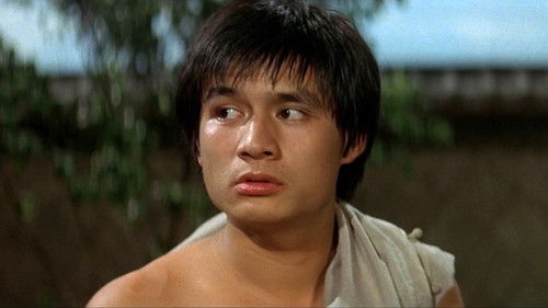 Der Todesblitz der Shaolin Bild 4