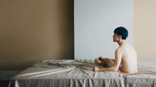 索多瑪的貓 Bild 3