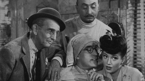 Verrückter Mittwoch Bild 1