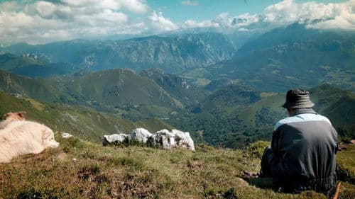 Salvajes, El Cuento Del Lobo Bild 3