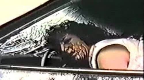 Vermilion Eyes Bild 2