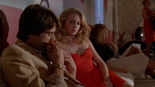 Katzen süß und scharf Bild 7