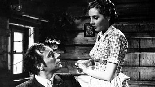 Die Alm an der Grenze Bild 4